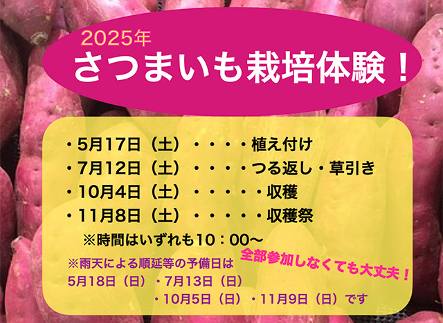 「2025年 さつまいも栽培体験！」のご案内