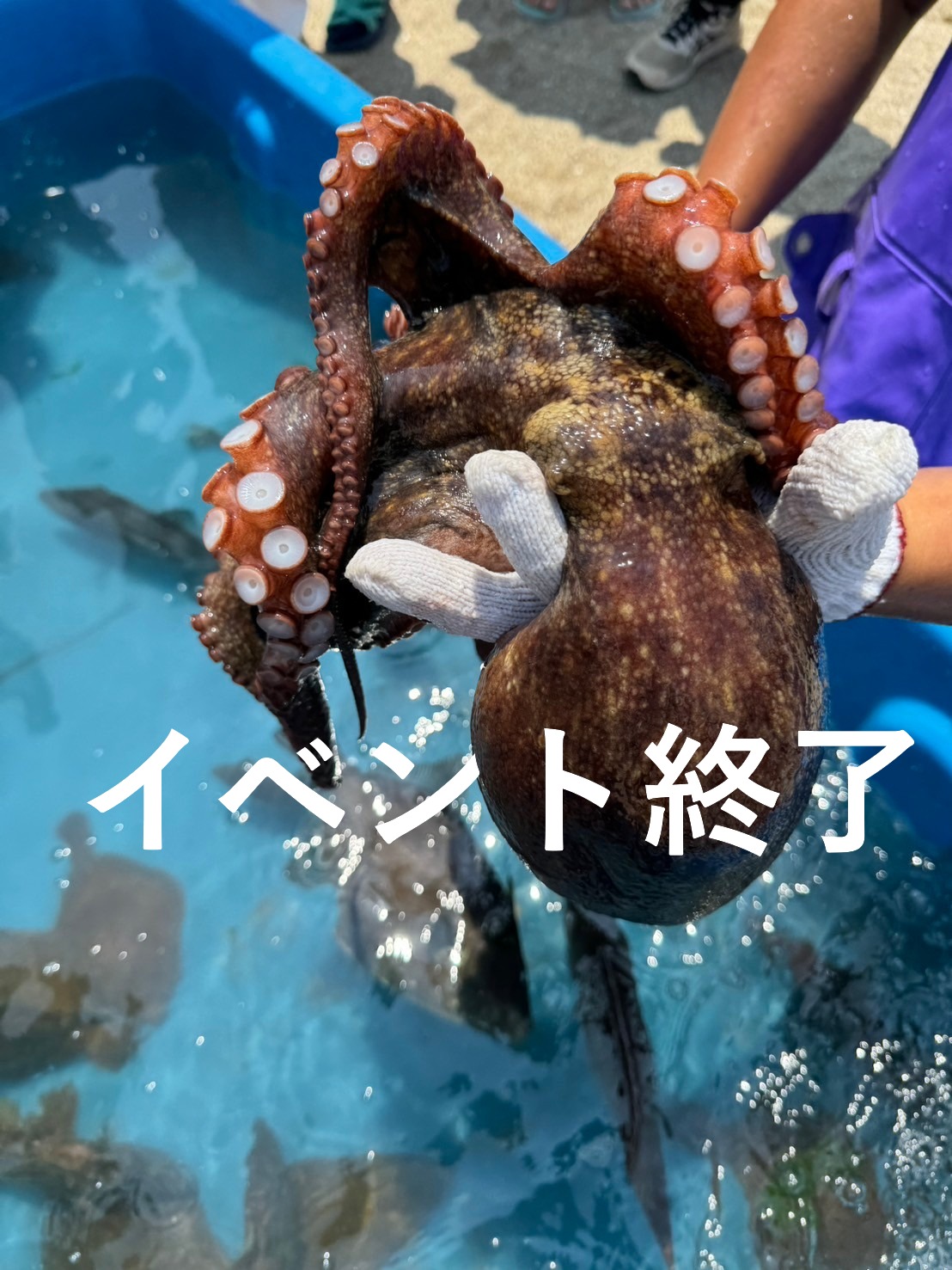 須磨海岸「地引き網」イベントのご案内